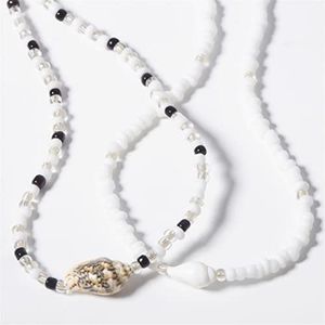 Hawaiian Style Puka Shell Seashell Beaded Choker Necklace